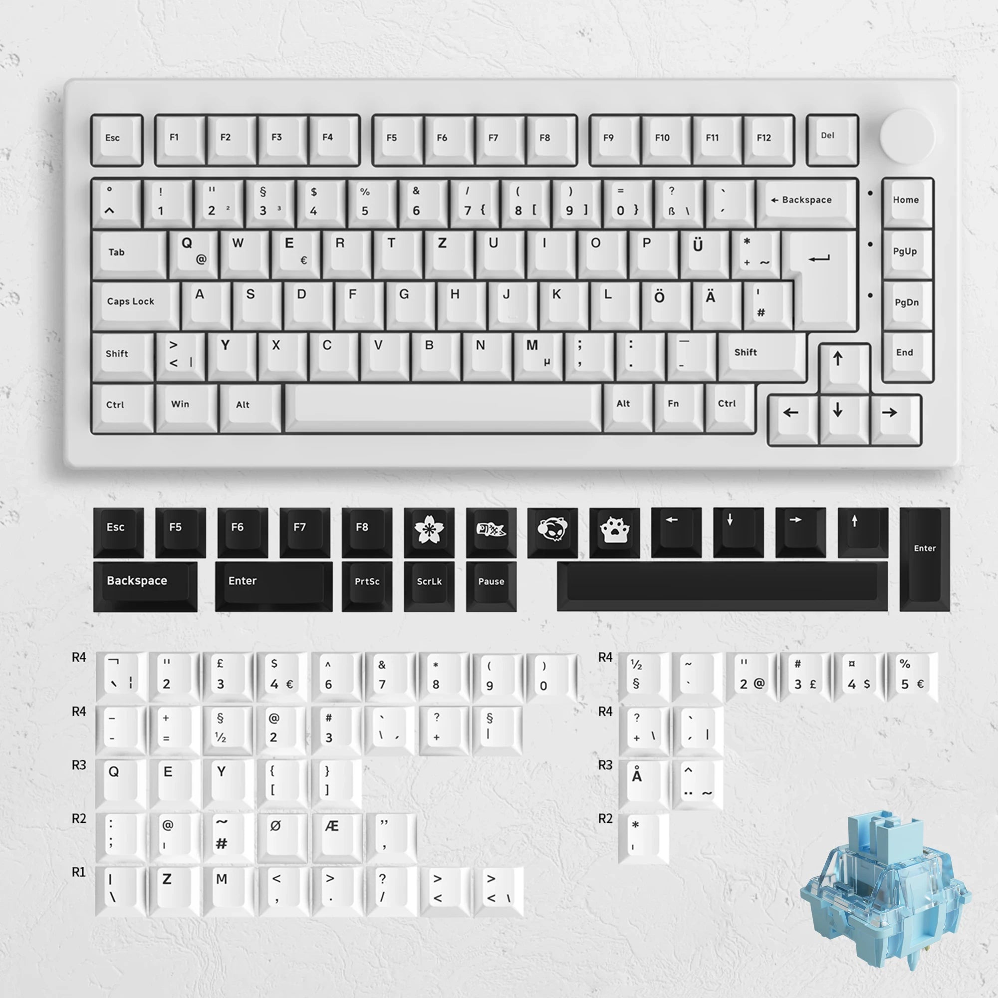 Akko 5075B Plus ANSI/ISO 75% Mechanical Gaming Keyboard 3/5 Pin Hot Swap Three-Modes RGB 2.4GHz Wireless/USB Type-C/BT 5.0